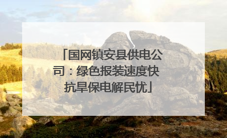 国网镇安县供电公司：绿色报装速度快 抗旱保电解民忧