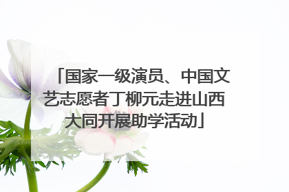 国家一级演员、中国文艺志愿者丁柳元走进山西大同开展助学活动