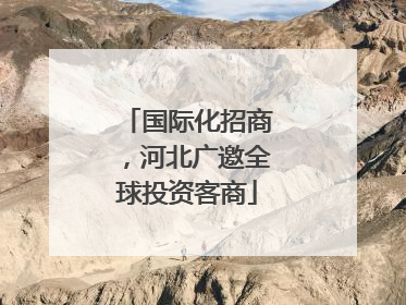 国际化招商，河北广邀全球投资客商