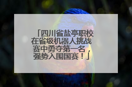 四川省盐亭职校在省级机器人挑战赛中勇夺第一名，强势入围国赛！