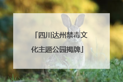四川达州禁毒文化主题公园揭牌