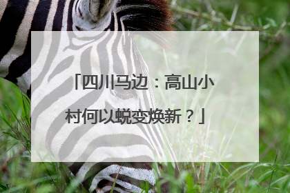 四川马边：高山小村何以蜕变焕新？