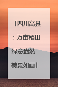 四川高县：万亩稻田绿意盎然 美景如画
