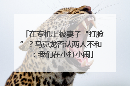 在专机上被妻子“打脸”？马克龙否认两人不和：我们在小打小闹