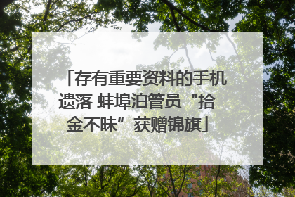 存有重要资料的手机遗落 蚌埠泊管员“拾金不昧”获赠锦旗