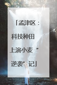 孟津区：科技种田 上演小麦“逆袭”记
