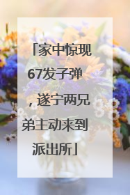 家中惊现67发子弹，遂宁两兄弟主动来到派出所