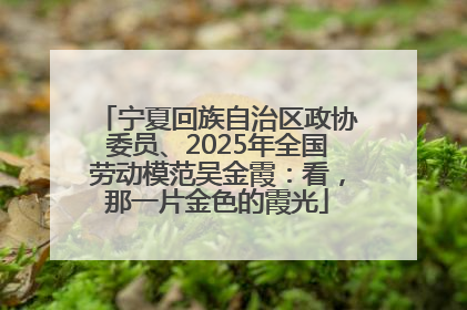 宁夏回族自治区政协委员、2025年全国劳动模范吴金霞：看，那一片金色的霞光
