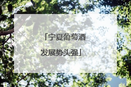 宁夏葡萄酒发展势头强
