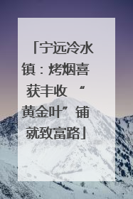 宁远冷水镇：烤烟喜获丰收 “黄金叶”铺就致富路
