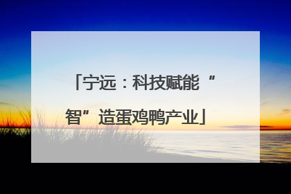 宁远：科技赋能“智”造蛋鸡鸭产业