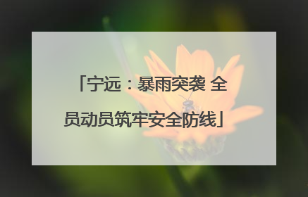 宁远：暴雨突袭 全员动员筑牢安全防线