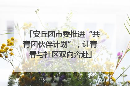 安丘团市委推进“共青团伙伴计划”，让青春与社区双向奔赴