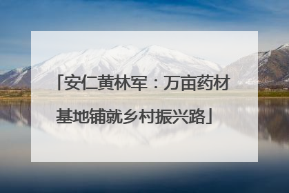 安仁黄林军：万亩药材基地铺就乡村振兴路