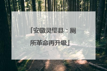 安徽灵璧县：厕所革命再升级