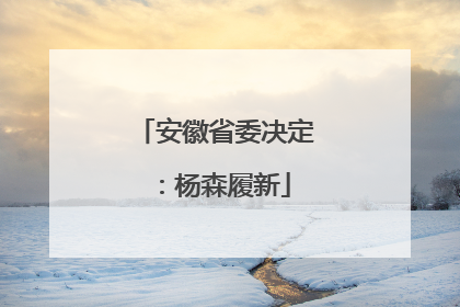 安徽省委决定：杨森履新
