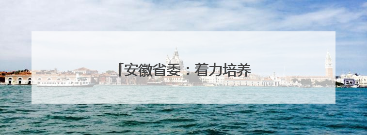安徽省委：着力培养选拔优秀年轻干部