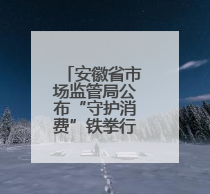 安徽省市场监管局公布“守护消费”铁拳行动第四批典型案例（服务型执法专刊）