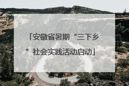 安徽省暑期“三下乡”社会实践活动启动