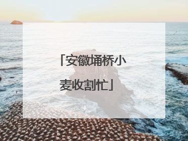 安徽埇桥小麦收割忙