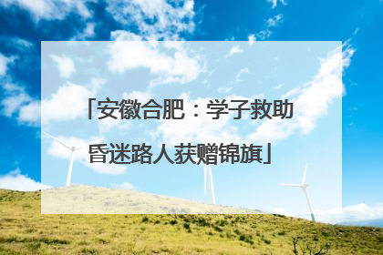 安徽合肥：学子救助昏迷路人获赠锦旗