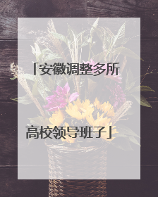安徽调整多所高校领导班子