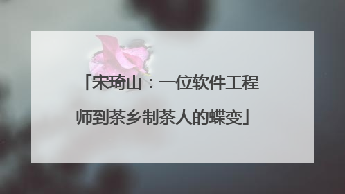 宋琦山：一位软件工程师到茶乡制茶人的蝶变