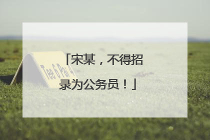 宋某，不得招录为公务员！