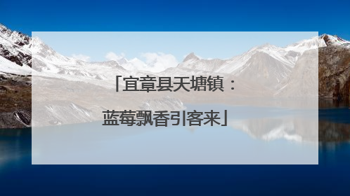 宜章县天塘镇：蓝莓飘香引客来