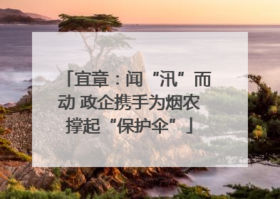 宜章：闻“汛”而动 政企携手为烟农撑起“保护伞”