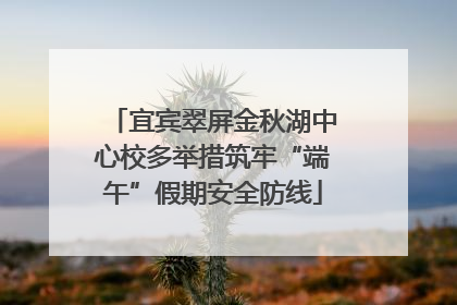 宜宾翠屏金秋湖中心校多举措筑牢“端午”假期安全防线