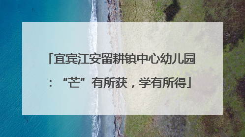宜宾江安留耕镇中心幼儿园：“芒”有所获，学有所得