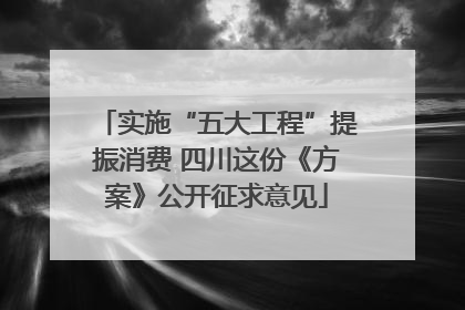 实施“五大工程”提振消费 四川这份《方案》公开征求意见