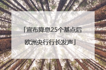 宣布降息25个基点后 欧洲央行行长发声