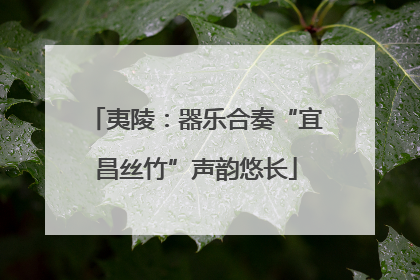 夷陵：器乐合奏“宜昌丝竹”声韵悠长