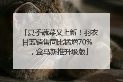 夏季蔬菜又上新！羽衣甘蓝销售同比猛增70%，盒马新推升级版