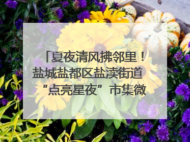 夏夜清风拂邻里！盐城盐都区盐渎街道“点亮星夜”市集微服务暖人心