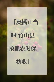 夏播正当时 竹山县抢抓农时保秋收