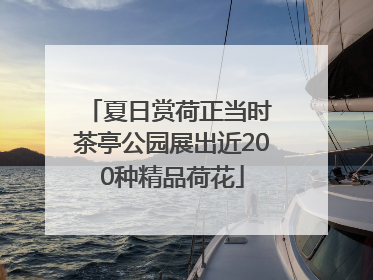 夏日赏荷正当时 茶亭公园展出近200种精品荷花