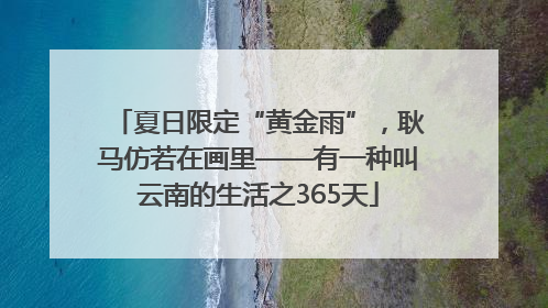 夏日限定“黄金雨”，耿马仿若在画里——有一种叫云南的生活之365天