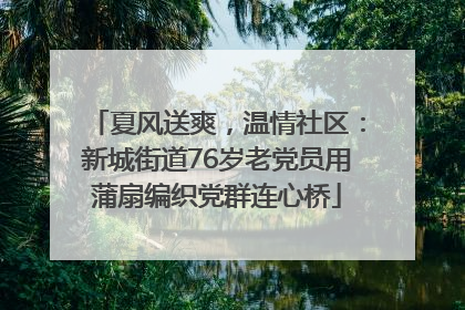 夏风送爽，温情社区：新城街道76岁老党员用蒲扇编织党群连心桥