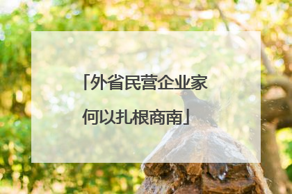 外省民营企业家何以扎根商南