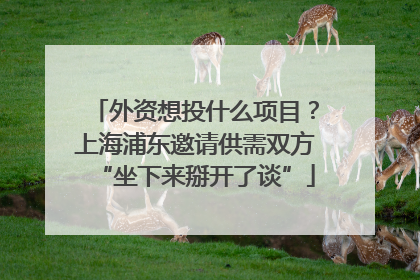 外资想投什么项目？上海浦东邀请供需双方“坐下来掰开了谈”
