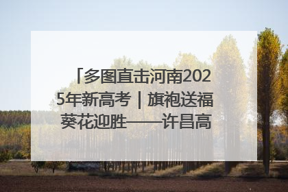 多图直击河南2025年新高考｜旗袍送福 葵花迎胜——许昌高考首日拉开帷幕