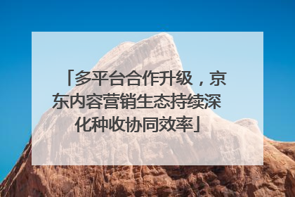多平台合作升级，京东内容营销生态持续深化种收协同效率