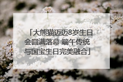 大熊猫迈迈8岁生日会圆满落幕 端午传统与国宝生日完美融合