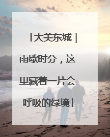 大美东城｜雨歇时分，这里藏着一片会呼吸的绿境