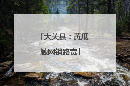 大关县：黄瓜触网销路宽