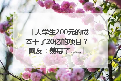 大学生200元的成本干了20亿的项目？网友：羡慕了……