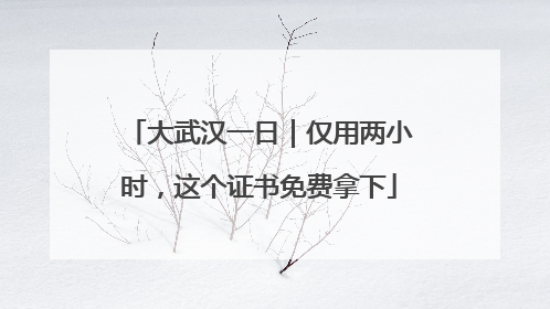 大武汉一日｜仅用两小时，这个证书免费拿下